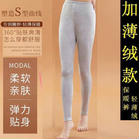 Women's High Waist Thermal Leggings Slim Fit Cotton Blend Warm Pants
