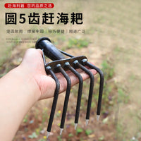 5-Tine Clam Rake Head or Set for Beachcombing and Gardening