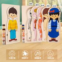 Kids' Wooden Multi-Layer Human Body & Growth Puzzle Educational Toy