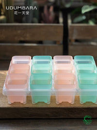 Semi-Transparent Square Plastic Planter with Drainage Tray for Succulents and Seedlings