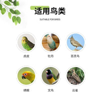 Small Bird Cage for Parakeets, Peonies, Finches, and Pearl Birds