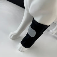 Dog Front Leg Brace for Injury Recovery and Support, Adjustable Pet Knee Protector for Senior Dogs