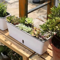 Self-Watering Narrow Rectangular Planter Box for Windowsills and Balconies