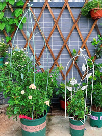 Wrought Iron Folding Birdcage Climbing Vine Stand Balcony Decoration Flower Rack Retro Indoor Courtyard Garden Clematis Support