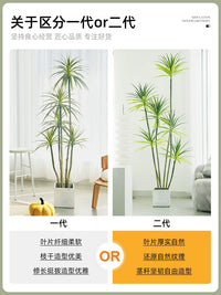 Artificial Dracaena Tree Faux Plant for Indoor Home Decor