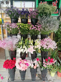 Multi-Tier Rolling Flower Display Rack for Florist Shops and Home Gardening