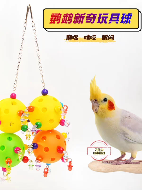 Parrot Chew Toy - Hanging Star Hollow Ball for Cockatiels