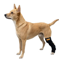 Pet Dog Rear Leg Brace for Injury Recovery and Lick Prevention