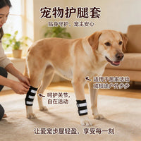 Luminous Pet Dog Leg Brace for Injury Recovery and Lick Prevention