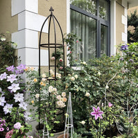 Foldable Iron Art Birdcage Trellis for Climbing Plants, Balcony & Garden Decor