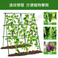 Garden Trellis for Climbing Plants, Loofah Support Frame, Vegetable Greenhouse Support Rods