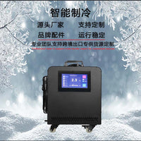 Portable Ice Bath Chiller for Muscle Recovery and Cold Therapy, Dual Temperature Options