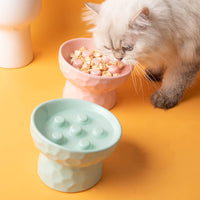 Ceramic Elevated Slow Feeder Pet Bowl for Cats and Small Dogs, Tilted Anti-Vomit Anti-Choke Food Dish