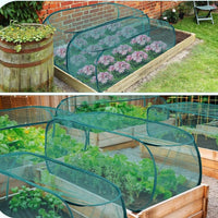 Pop-Up Garden Plant Cover Net for Sunshade, Insect, and Bird Protection