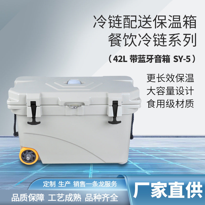 42L Portable Insulated Cooler Box with Bluetooth Speaker and Pull Rod for Cold Chain Delivery