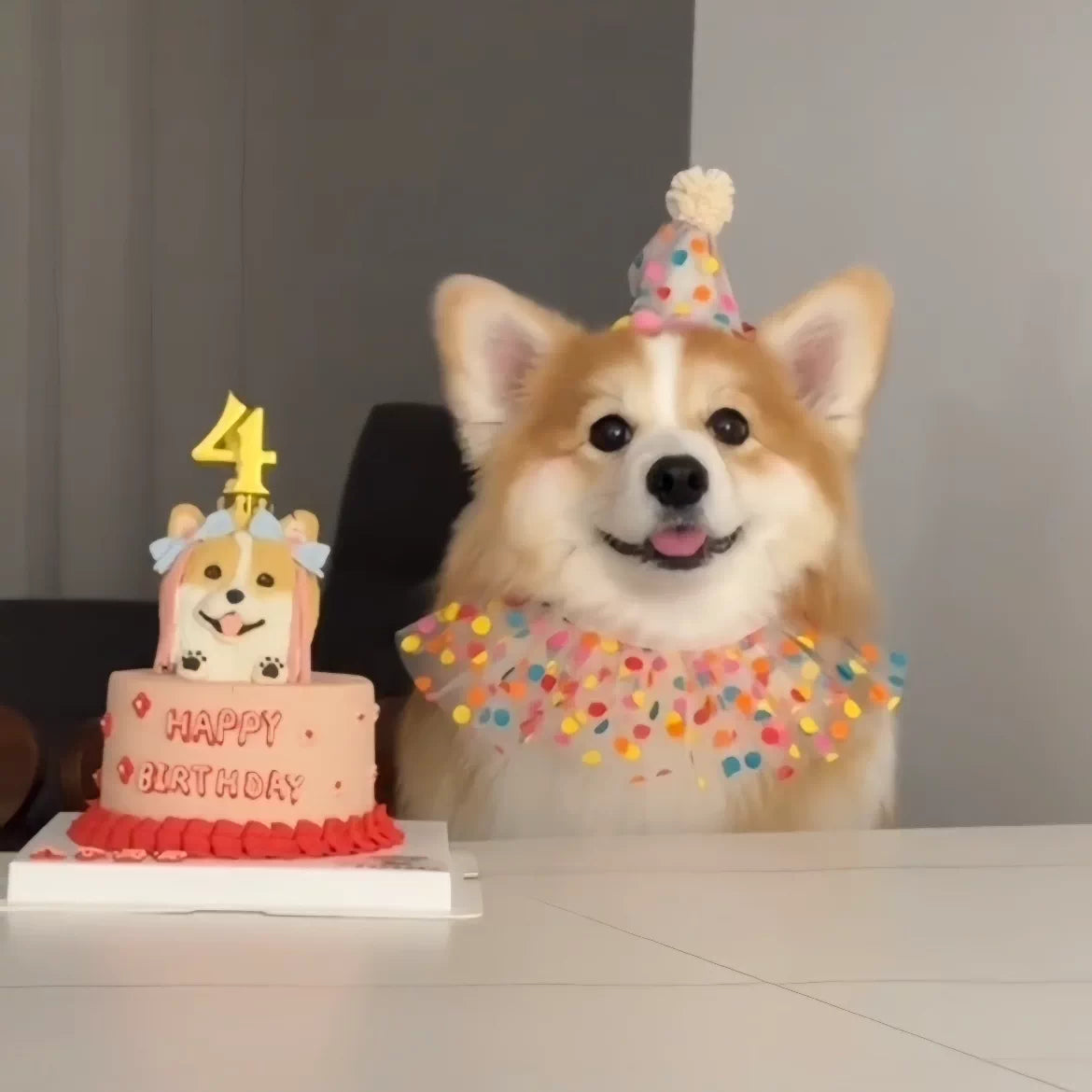 Pet Birthday Bandana and Hat Set for Small to Medium Dogs