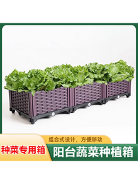 Large Plastic Raised Garden Bed for Vegetables and Herbs, Indoor/Outdoor Planter Box for Balcony and Patio