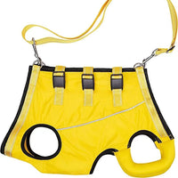 Dog Rear Leg Support Harness for Injured, Elderly, or Disabled Dogs