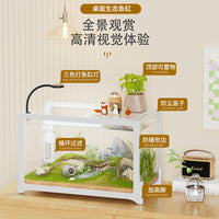 Mini Aquarium Fish Tank with Filter and Oxygenation for Desktop or Turtle Habitat