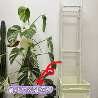 Plant Support Netting for Climbing Plants, Monstera Deliciosa Trellis Net, Garden Plant Trellis, Hydroponic Netting