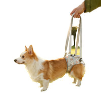 Pet Dog Rear Leg Support Harness for Injured, Disabled, or Senior Dogs