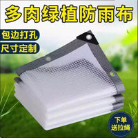 Transparent Waterproof PVC Tarpaulin with Grid for Outdoor Rain and Wind Protection