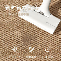 Sisal-like Entrance Doormat Anti-Scratch Cat Mat for Home Entryway