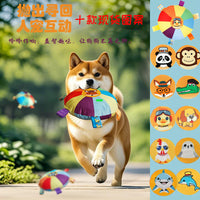 Pet Rainbow Fleece Sounding Flying Disc Interactive Dog Chew Toy for Training and Play