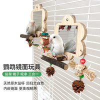 Parrot Mirror Toy with Perch for Cockatiels Budgies Lovebirds, Chewing String, Grinding Claw Stand