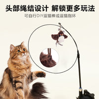 Electric Chirping Bird Cat Toy Interactive Kitten Teaser Wand for Indoor Play