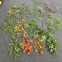 Artificial Foliage Branches for DIY Landscaping and Decoration