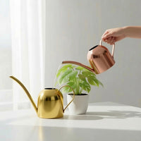 Stainless Steel Long Spout Watering Can for Indoor Plants, 500ml
