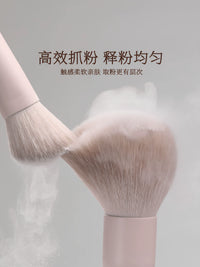 Makeup Brush Set for Eyeshadow, Blush, Contour, and Nose Shadow - Beginner Friendly