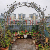 Iron Arch Trellis for Climbing Plants, Outdoor Garden Arbor for Roses and Vines