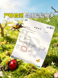 Wind-Up Crawling Insect Toys for Kids - Beetle, Bee, Grasshopper Models