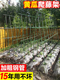 Heavy-Duty Garden Trellis for Climbing Plants, Vegetables, and Fruits - Includes Netting