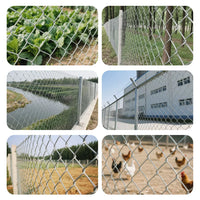 Hot-Dip Galvanized Steel Wire Mesh Fence for Garden and Poultry Enclosures