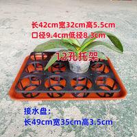 Orchid Pot Tray with Drip Tray, Rectangular Large Seedling Tray for Planters