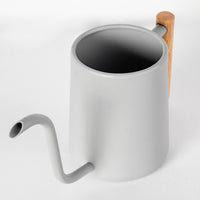 Stainless Steel Watering Can with Wooden Handle, Long Spout for Indoor Plants and Garden