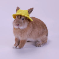Pet Sun Hat for Cats, Rabbits, and Small Dogs - Cute Ear-Hole Design