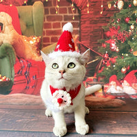 Pet Christmas Santa Scarf Cape Hat for Cats and Dogs - Festive Winter Apparel