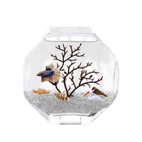 Creative Thickened Glass Desktop Fish Tank for Hydroponics and Landscaping