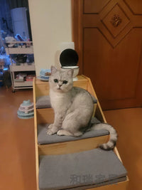 Pet Bed Stairs Wooden Dog Ladder Sofa Bedside Cat High-Age Dog Climbing Ladder Non-Slip Steps