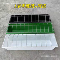 Large Capacity Poultry Feeder and Waterer Trough for Chickens, Ducks, Geese