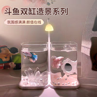 Betta Fish Tank with LED Light, Dual Compartment Desktop Aquarium for Small Fish, High Transparency Glass