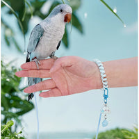 Parrot Flight Training Leash with Alloy Foot Ring, Lightweight Outdoor Tether, 140 cm