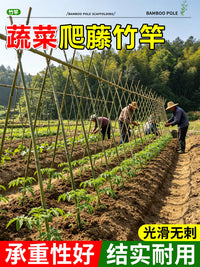 Garden Climbing Plant Support Stakes Bamboo Poles for Vegetables Beans Cucumbers Outdoor Fence Trellis
