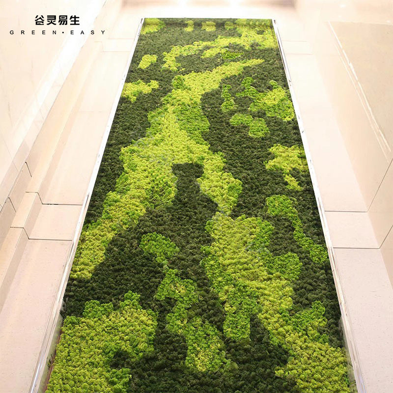 苔藓墙人造苔藓微景观绿植办公室苔藓形象墙仿真永生苔藓植物墙