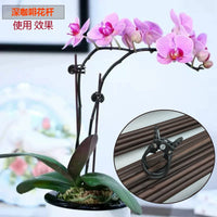 Orchid Plant Support Stakes with Clips for Climbing Vines and Flowers