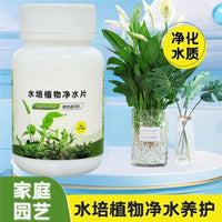 Aquatic Plant Water Purifying Tablets for Odor Removal, Sterilization, and Freshness